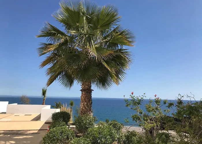 Palmbeach