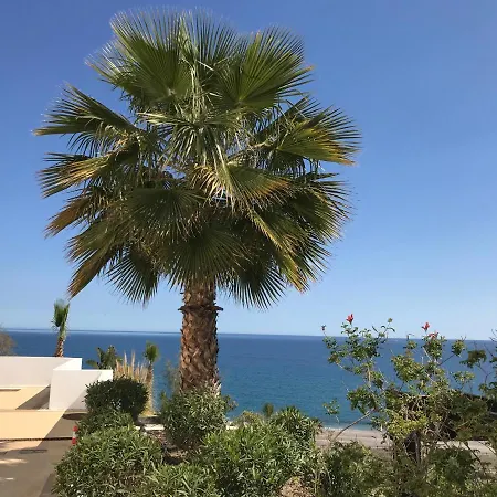 Palmbeach