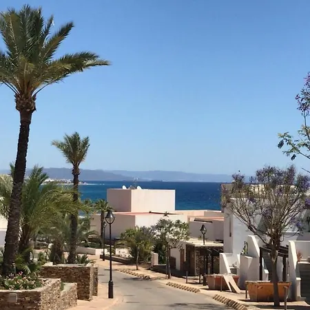 Palmbeach