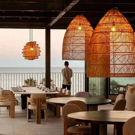 Palmbeach موخاكار
